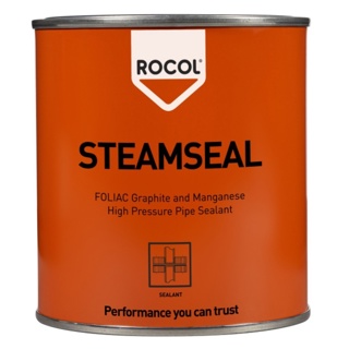Steam Seal