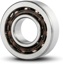 IBC D/R Cylindrical Roller Bearing